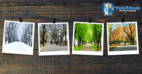 what's the best season to move?