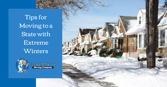 Tips for moving to a winter season